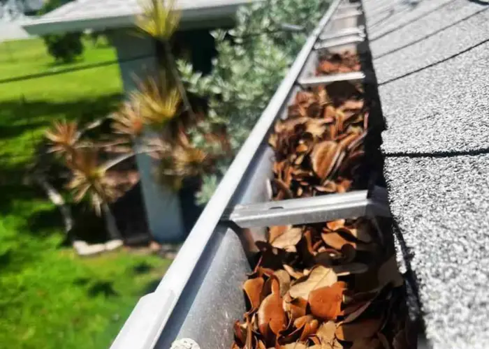 Elkhorn gutter cleaning home page